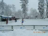 Patinoar Tirgu Neamt