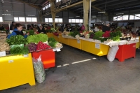 Hala de legume si fructe Targu Neamt Hala de legume si fructe Targu Neamt